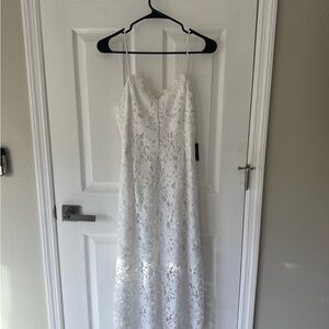 Express Ivory Floral Lace Dress